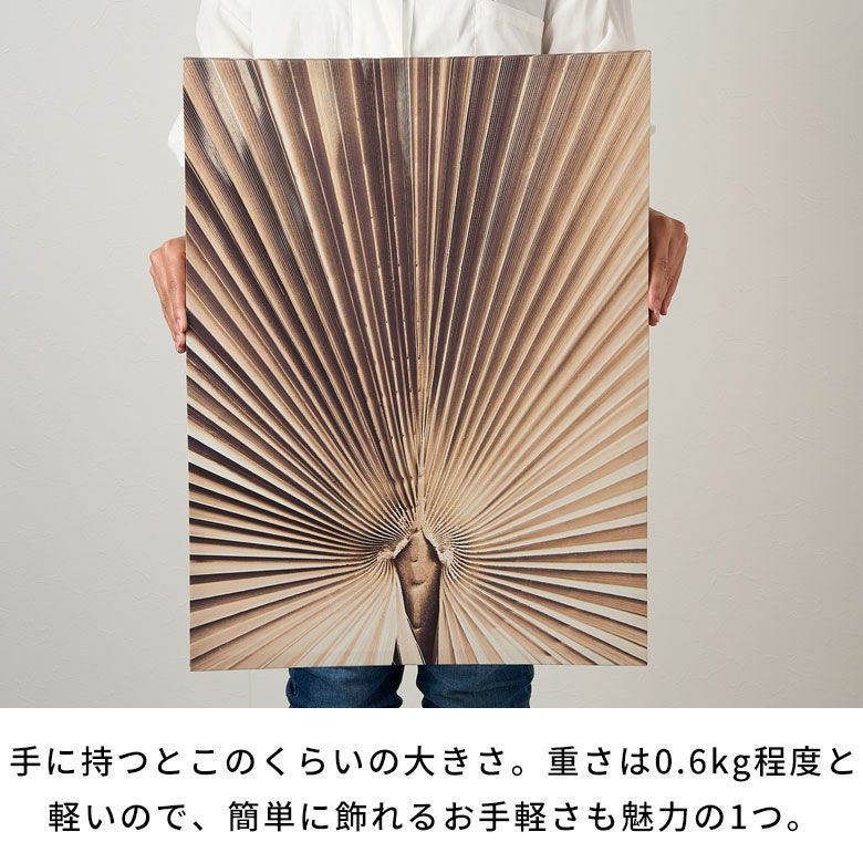 アートパネル ヤシ 葉 リーフ 葉っぱ キャンパス パネル 約 W 45cm D