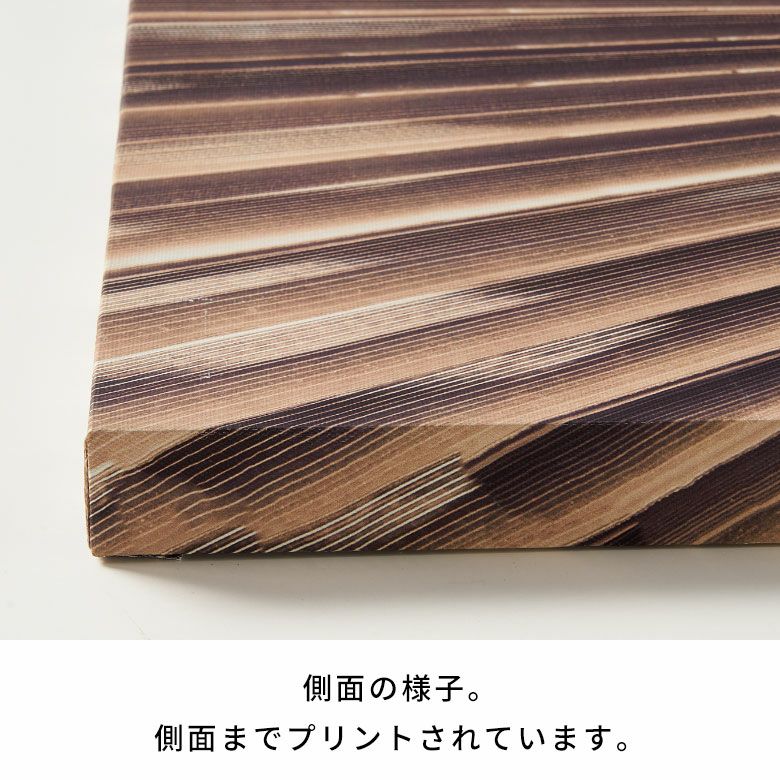 アートパネル ヤシ 葉 リーフ 葉っぱ キャンパス パネル 約 W 45cm D