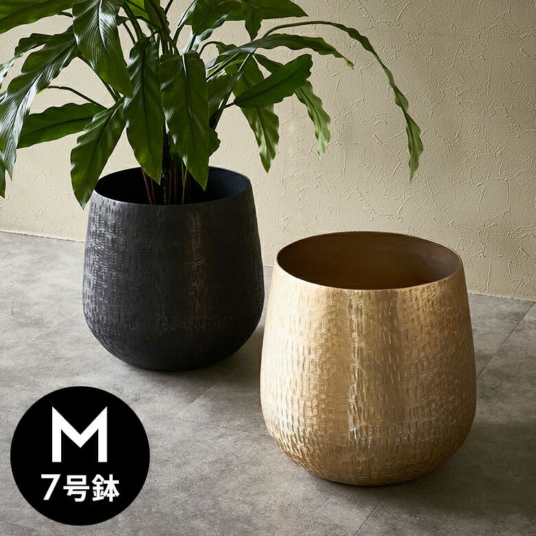 000000005713-01.jpg?size=l&w=