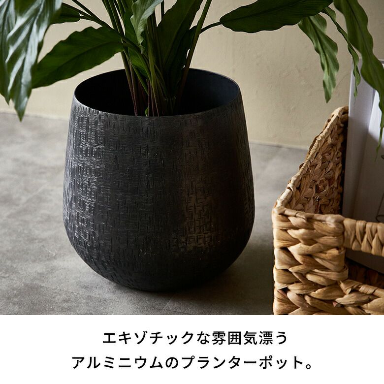 000000005713-03.jpg?size=l&w=