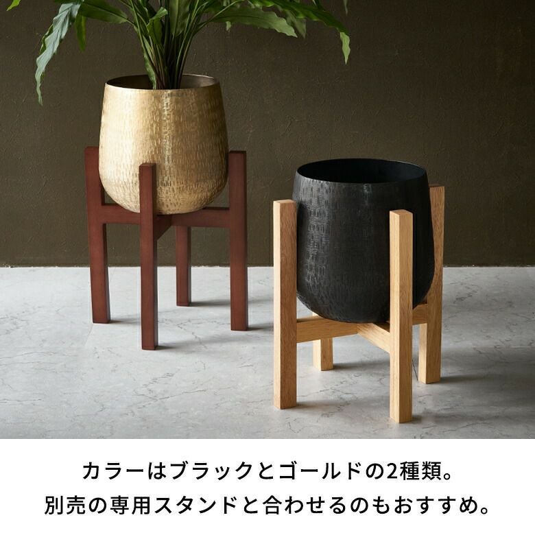 000000005713-05.jpg?size=l&w=