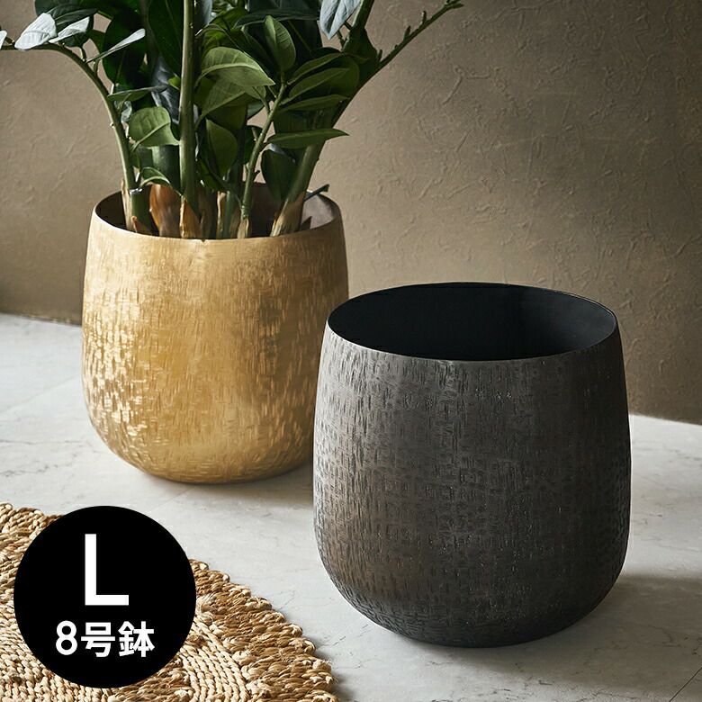 000000005714-01.jpg?size=l&w=