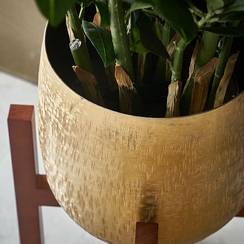 000000005714-02.jpg?size=l&w=