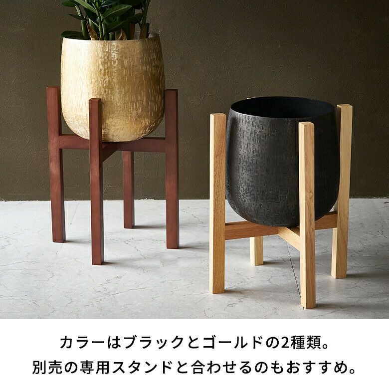 000000005714-05.jpg?size=l&w=