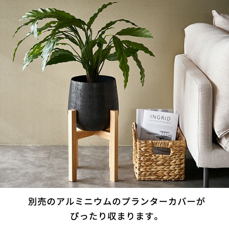 000000005715-04.jpg?size=l&w=