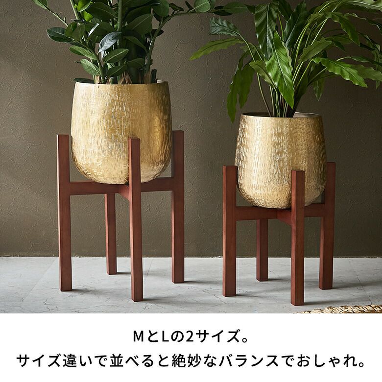 000000005716-07.jpg?size=l&w=