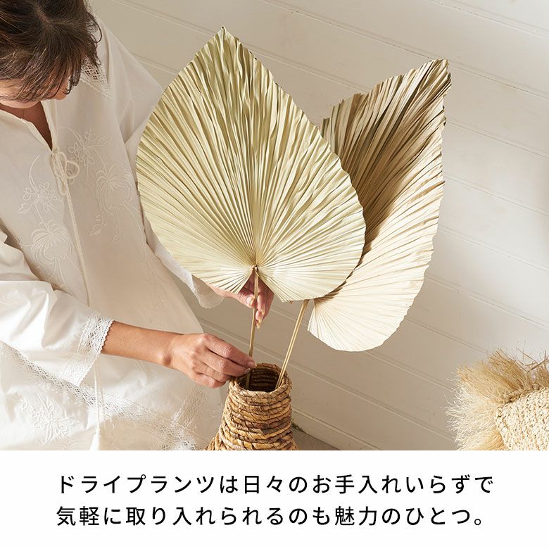 ウチワヤシのドライフラワーオブジェ