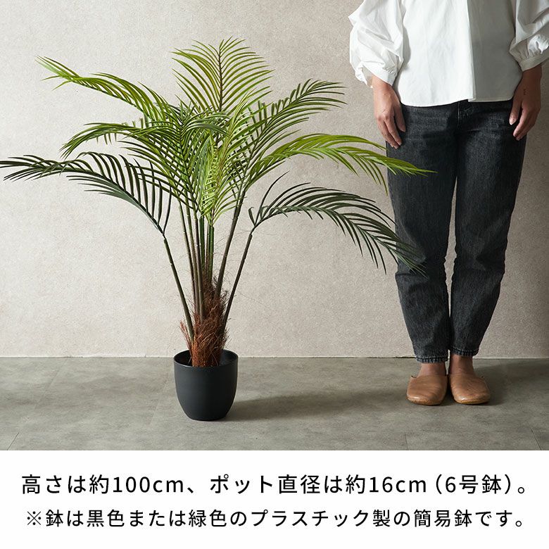 000000005847-06.jpg?size=l&w=