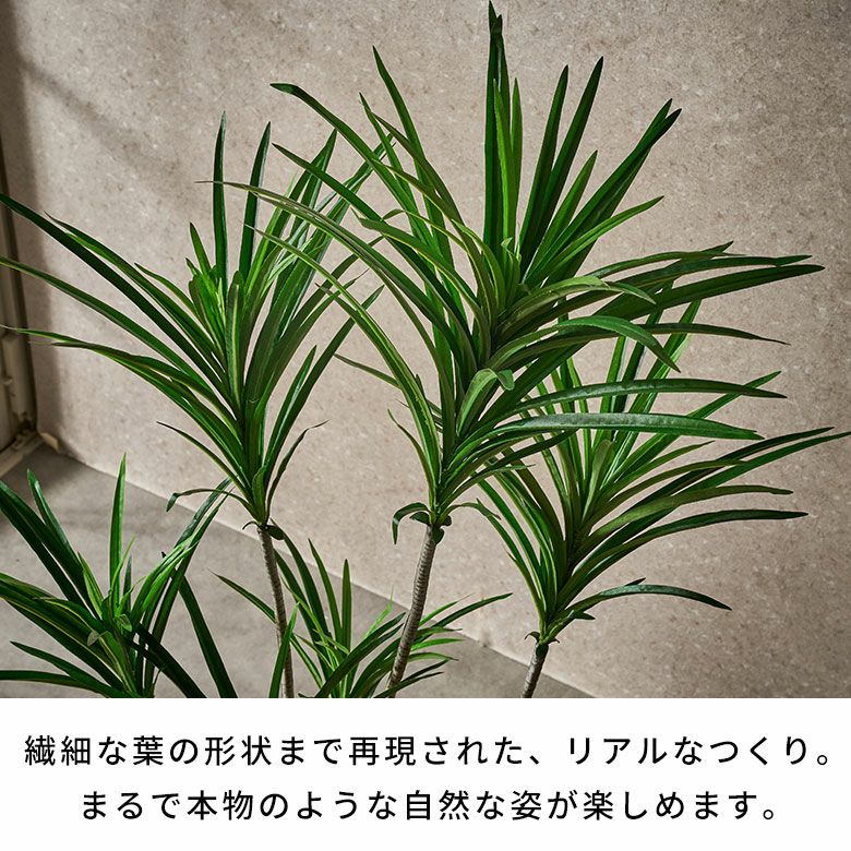 東京堂 お手入れ不要なユッカのフェイクグリーン 高さ約130cm 5号鉢
