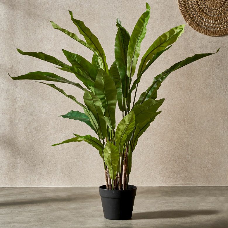 フェイクグリーン アスプレニウム オオタニワタリ 高さ 90cm 観葉植物