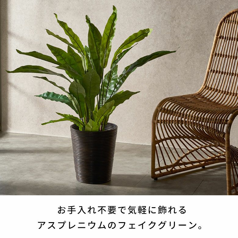 フェイクグリーン アスプレニウム オオタニワタリ 高さ 90cm 観葉植物
