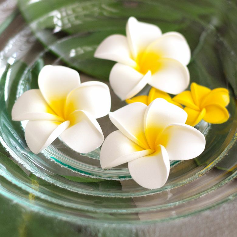 000000005879-03.jpg?size=l&w=