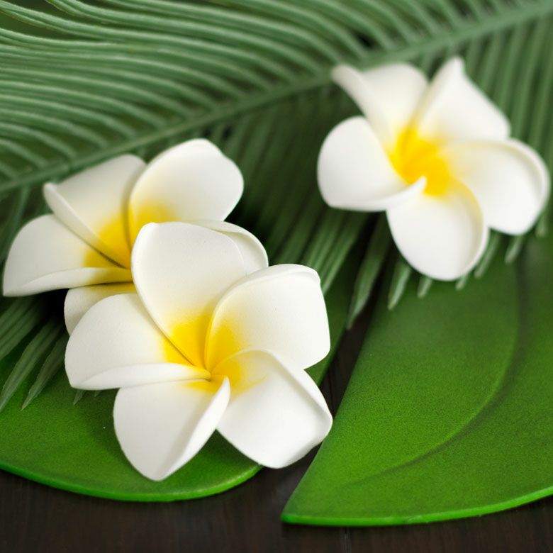 プルメリア アジアン 造花 スタンダードタイプ Mサイズ/ホワイト