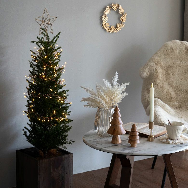 LEDライト クリスマス 電飾 LED ワイヤー 250cm 2.5m タイマー