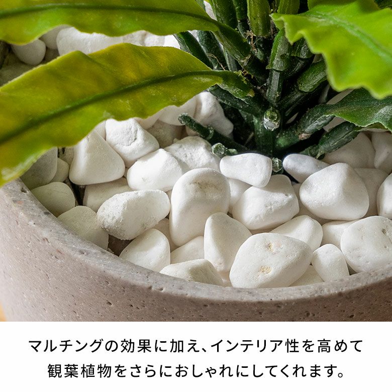 マルチングストーン 天然石 600g 化粧石 飾り石 ホワイト ブラック