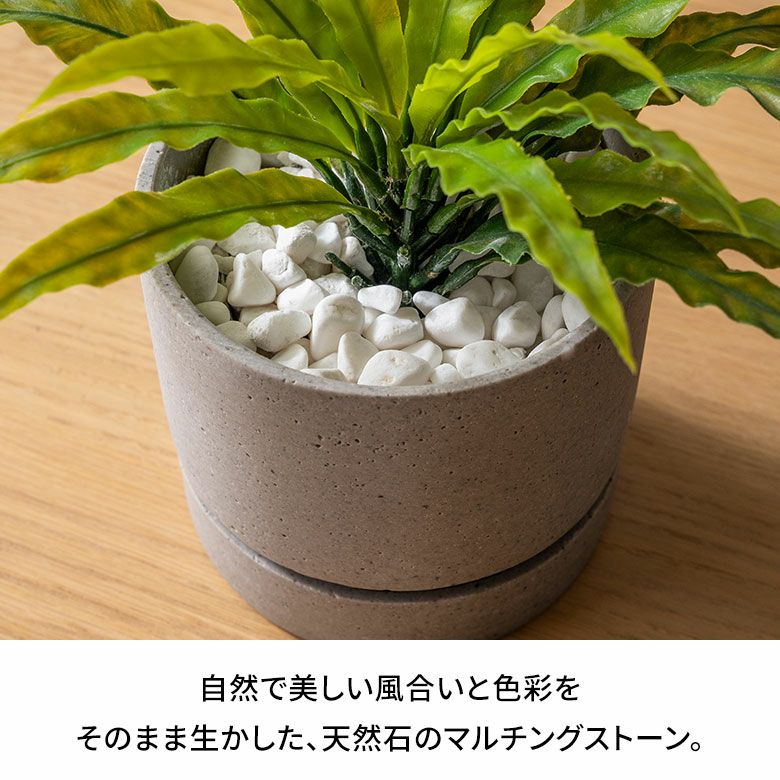 000000005973-02.jpg?size=l&w=