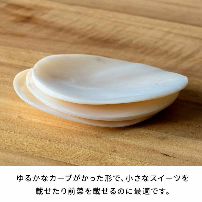 プレート シェル 天然 お皿 平皿 小皿 取り皿 貝 約 W 9.2cm D 7.3cm H