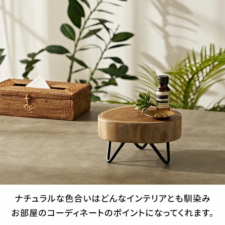 デコレーショントレイ 脚付き 木製 天然木 切り株 アイアン 約 W 20cm