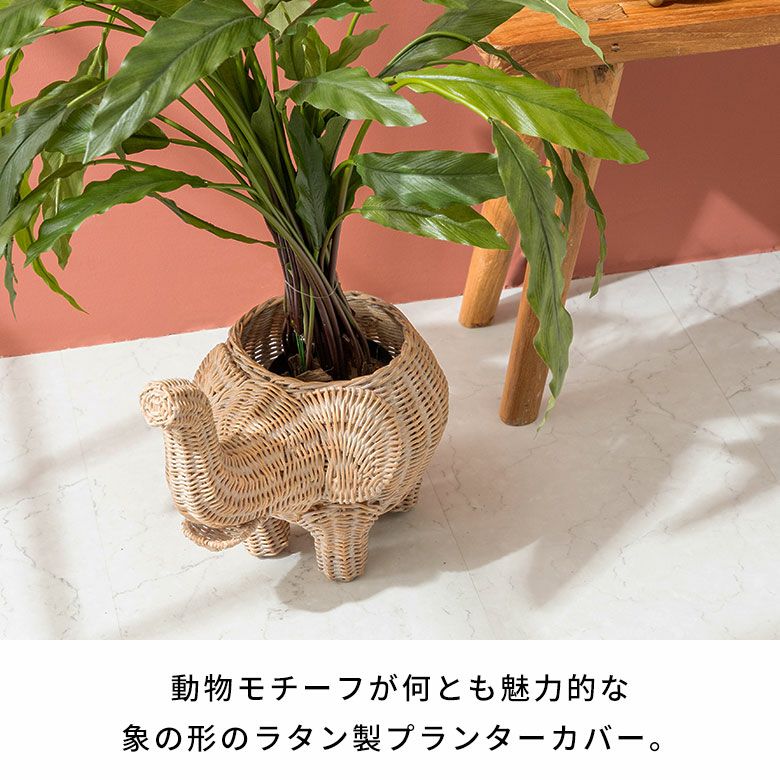 プランターカバー 象 象さん 籐 ラタン 4号鉢 約 W 33cm D 23cm H 28cm