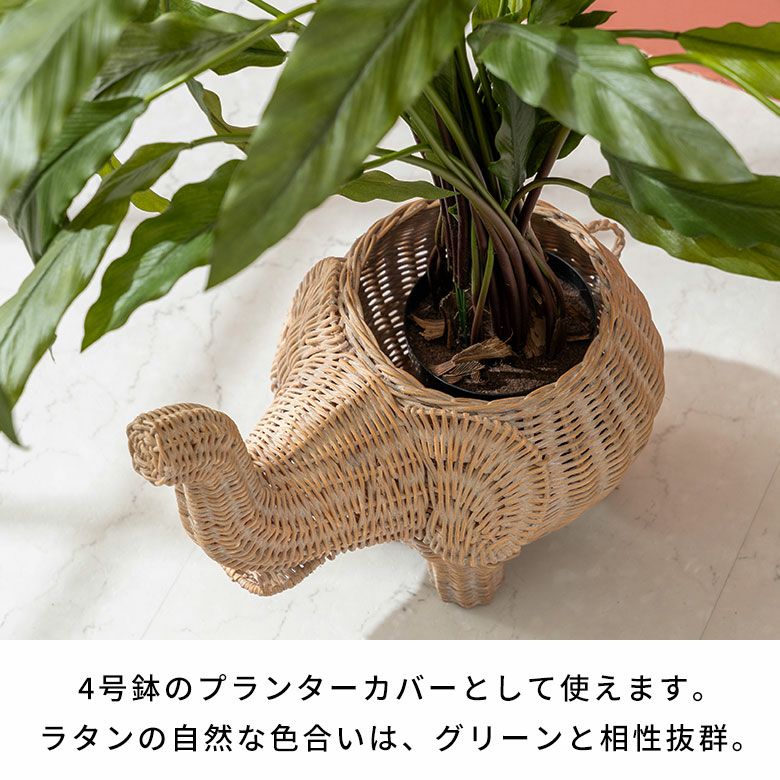 プランターカバー 象 象さん 籐 ラタン 4号鉢 約 W 33cm D 23cm H 28cm