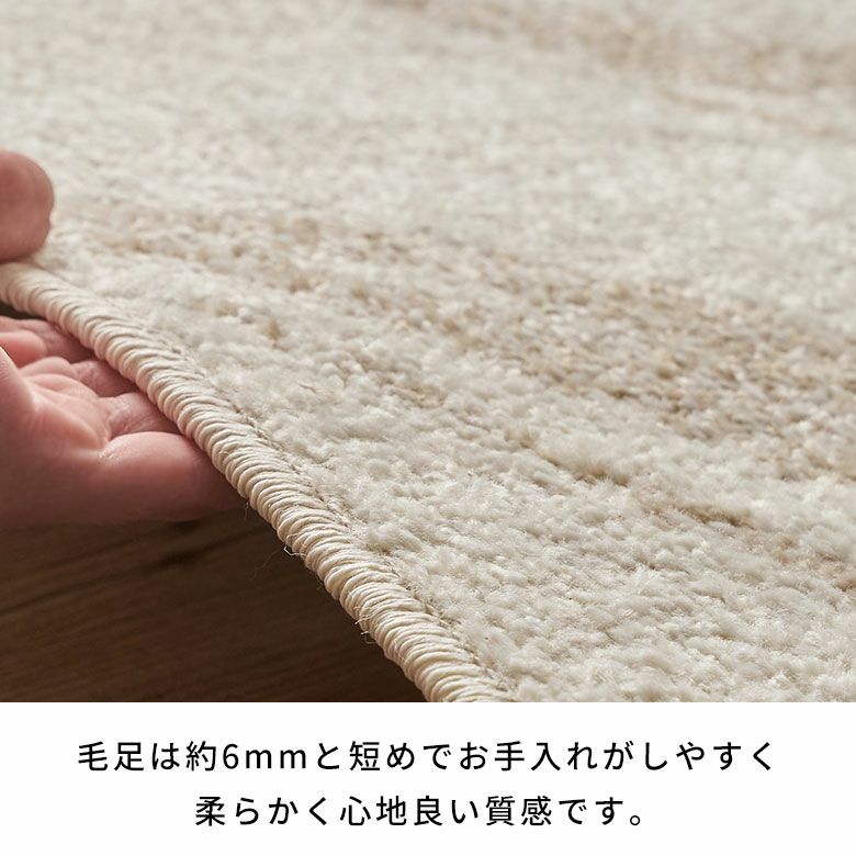 ウィルトン織 ペルシャ風ラグリーフ柄と抽象的なボタニカルデザインの