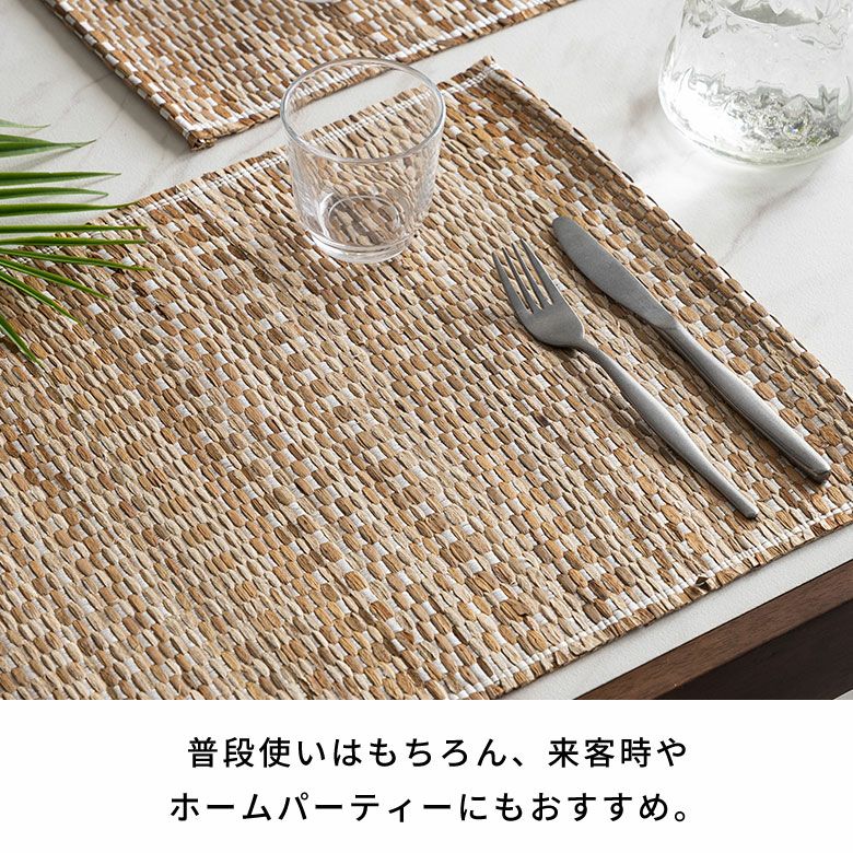 ランチョンマット シーグラス プレイスマット 約 W 48cm D 35cm H 0.5