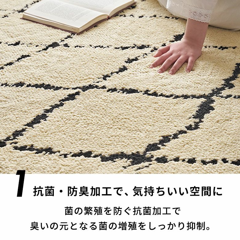 日本製 ラグ ラグマット 玄関マット 室内 約 45×70cm 国産