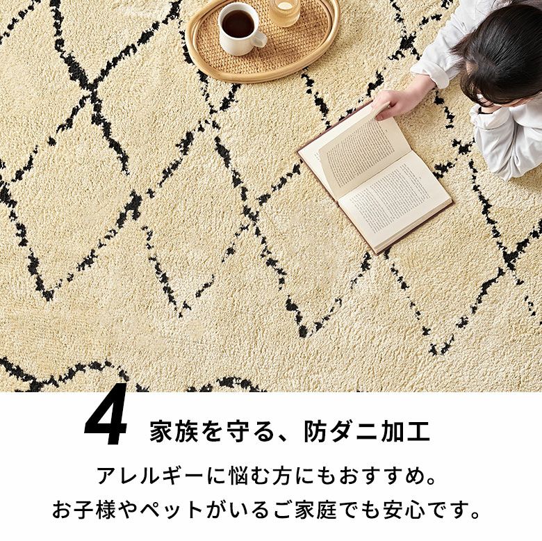 日本製 ラグ ラグマット 玄関マット 室内 約 45×70cm 国産
