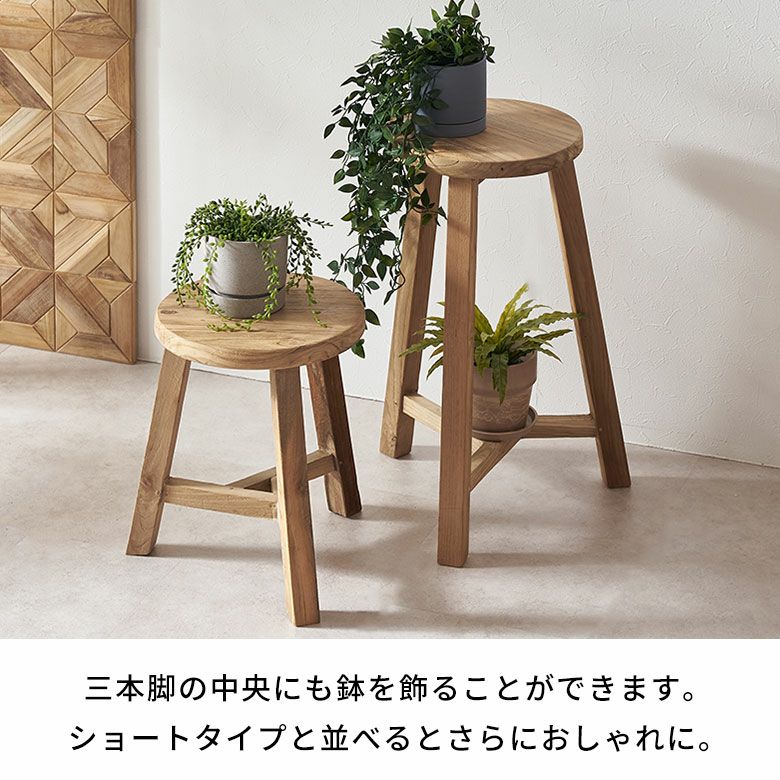 000000006230-08.jpg?size=l&w=