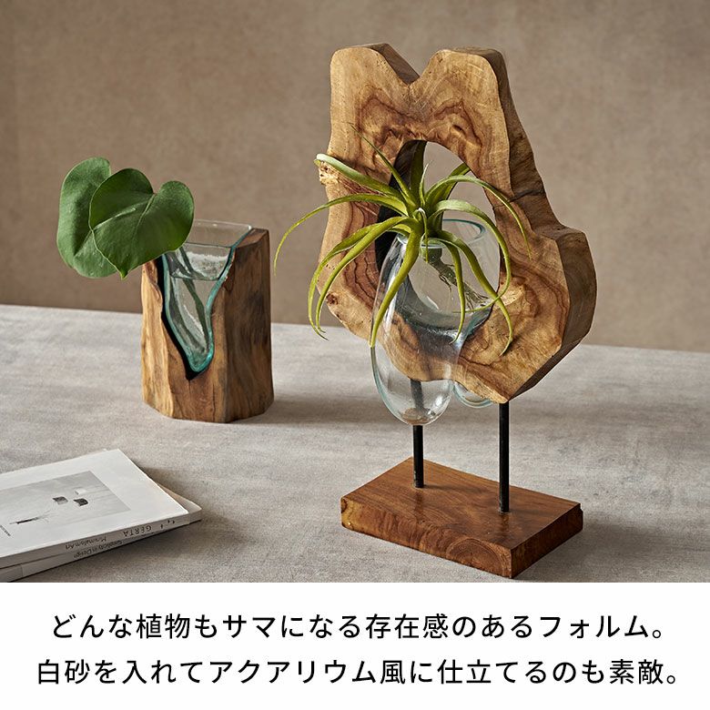 000000006236-05.jpg?size=l&w=