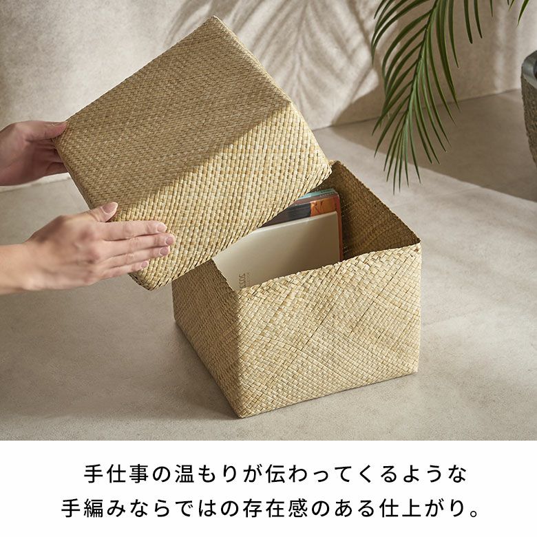 収納ボックス パンダン 正方形 四角 ふた付き 蓋付き フタ付き 約 W