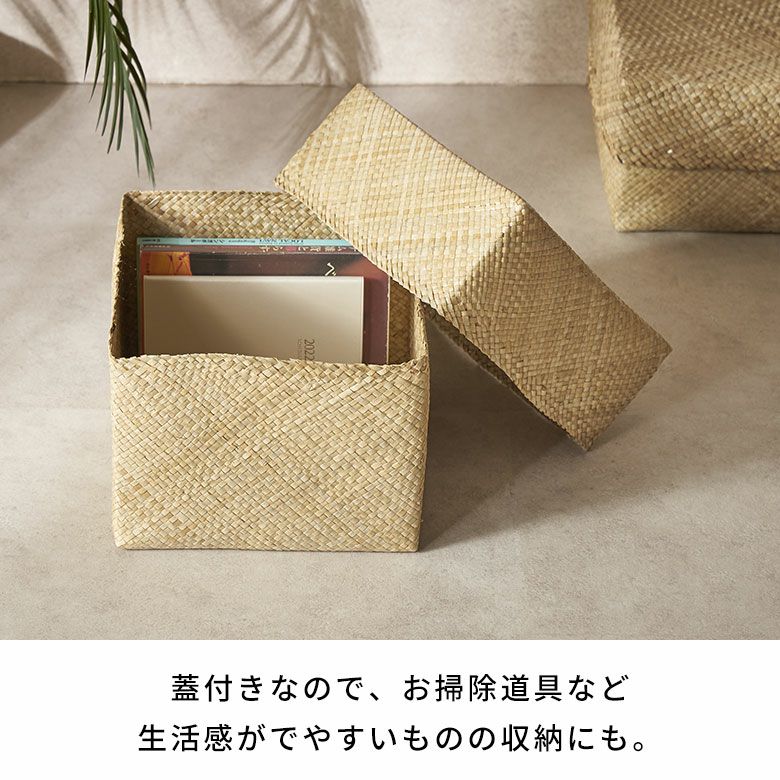 収納ボックス パンダン 正方形 四角 ふた付き 蓋付き フタ付き 約 W