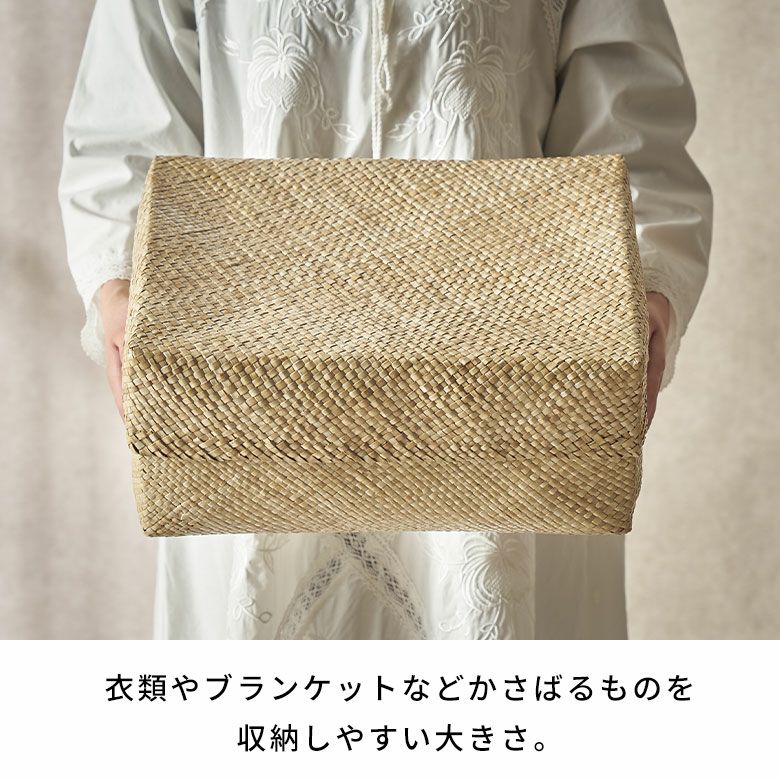 収納ボックス パンダン 長方形 A4 ふた付き 蓋付き フタ付き 約 W 37cm