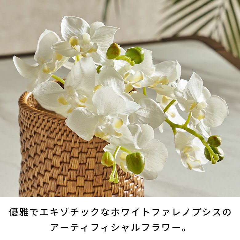 水やり不要のリアルな造花 ホワイトファレノプシスのアーティ