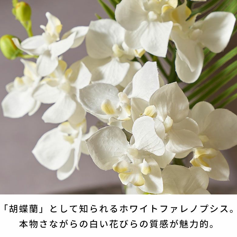 水やり不要のリアルな造花 ホワイトファレノプシスのアーティ
