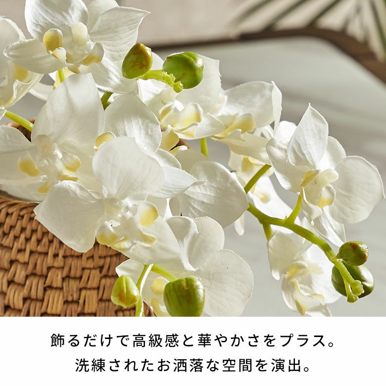 水やり不要のリアルな造花 ホワイトファレノプシスのアーティ