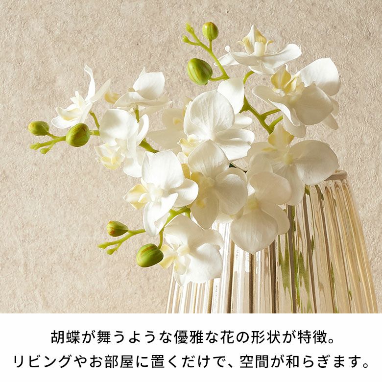 水やり不要のリアルな造花 ホワイトファレノプシスのアーティ