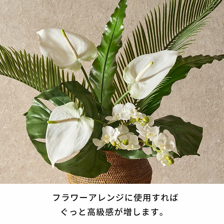 水やり不要のリアルな造花 ホワイトファレノプシスのアーティ