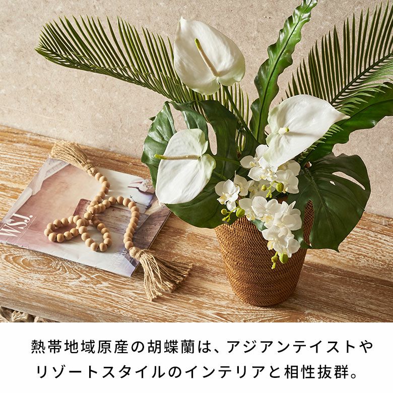 水やり不要のリアルな造花 ホワイトファレノプシスのアーティ