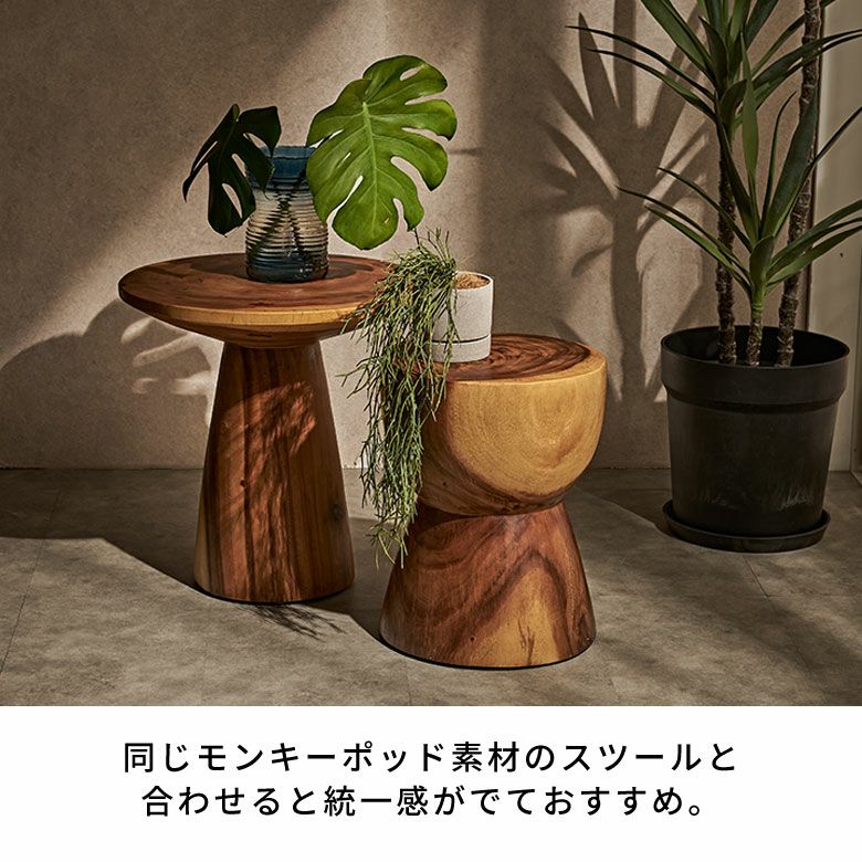 天然木 モンキーポッド　切り株 花台 フラワースタンド 木の花台 ディスプレイ プランタースタンド フラワー