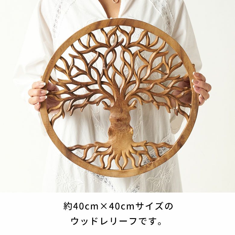 取引終了　③【フルーツ＆バナナの葉】一気にバリ島にしよう！ 木彫りフルーツ１４個　※①②③セットでいかが？ バナナの木☆置物☆木製☆バリ島 - メルカリ