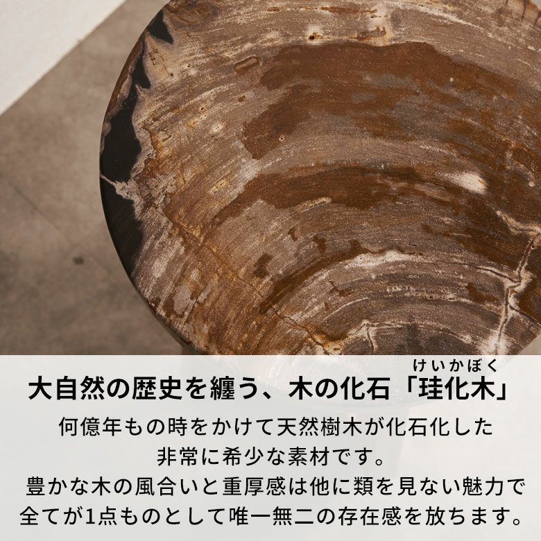 木の化石でできたフォッシルストーン製の天板にチークウッドの脚を
