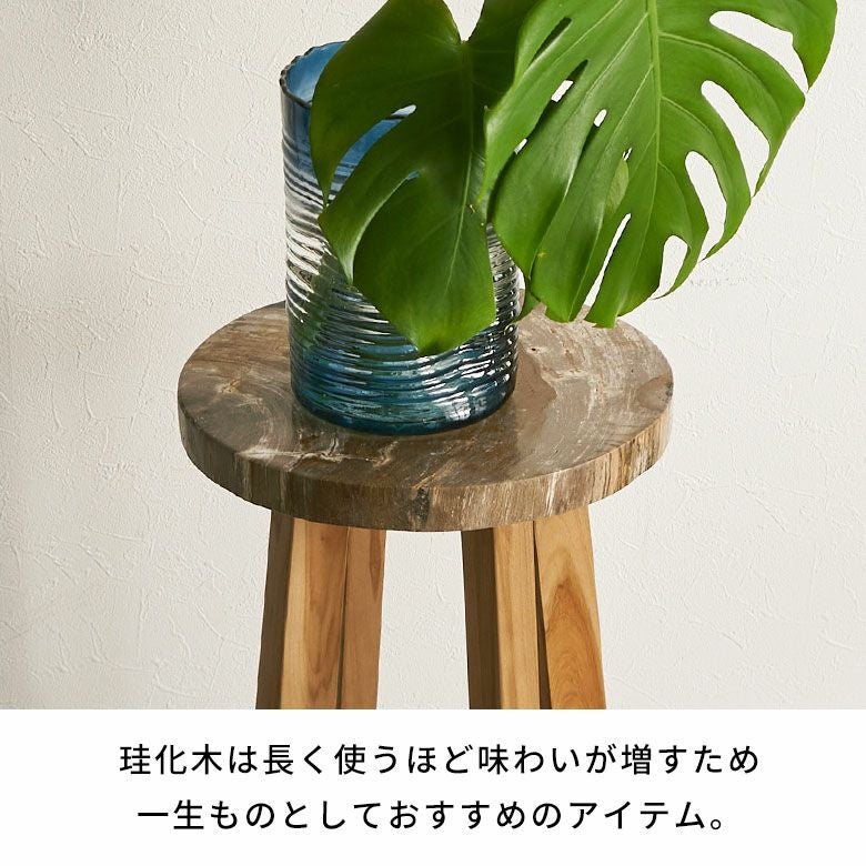 木の化石でできたフォッシルストーン製の天板にチークウッドの脚を