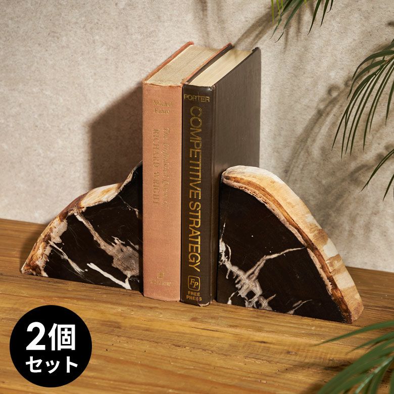 大自然の歴史を纏う木の化石フォッシルストーンで作られたブックエンド