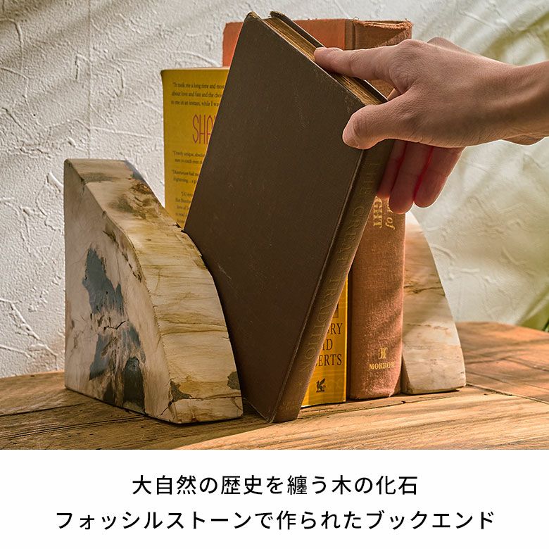 【定期値下商品】天然石 珪化木 ブックエンド 2個セット 大自然の歴史を纏う木の化石フォッシルストーンで作られたブックエンド