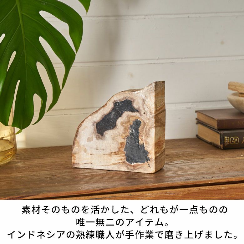 大自然の歴史を纏う木の化石フォッシルストーンで作られたブックエンド