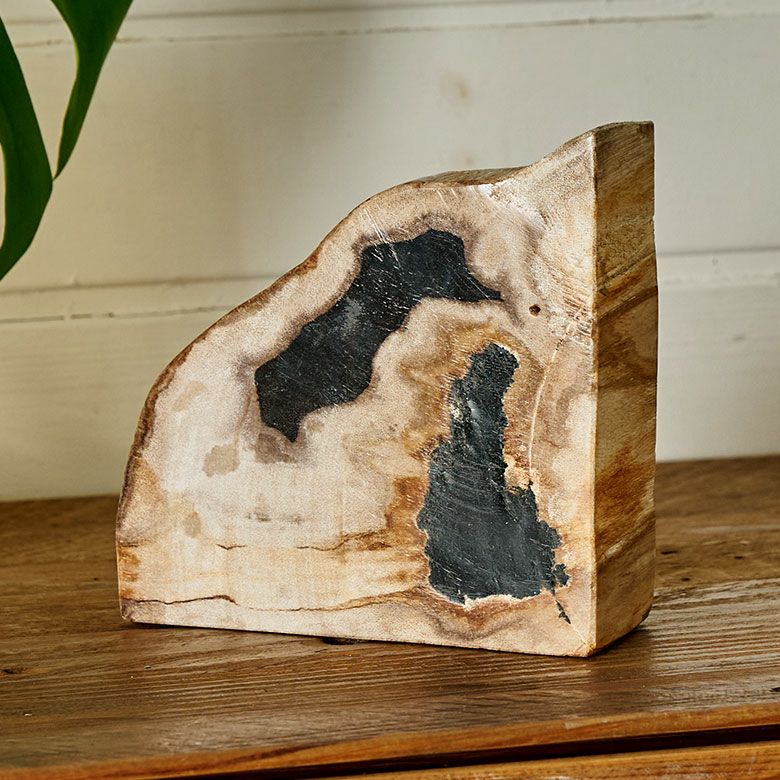大自然の歴史を纏う木の化石フォッシルストーンで作られたブックエンド