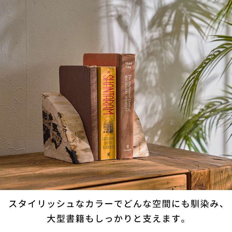 大自然の歴史を纏う木の化石フォッシルストーンで作られたブックエンド