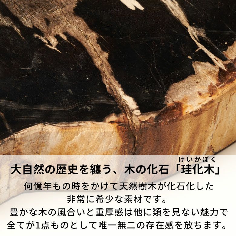 大自然の歴史を纏う木の化石フォッシルストーンで作られたブックエンド