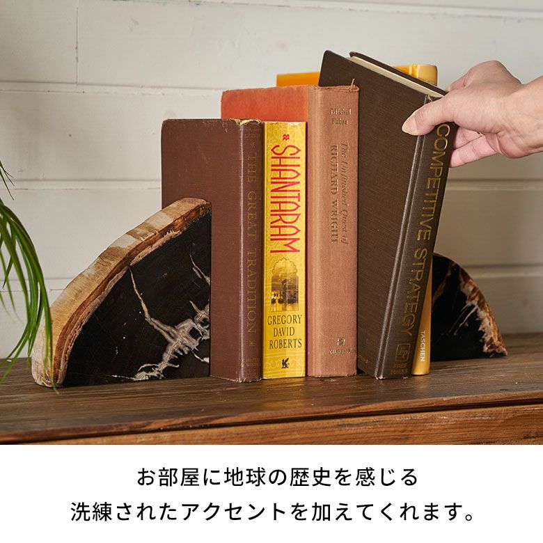 大自然の歴史を纏う木の化石フォッシルストーンで作られたブックエンド